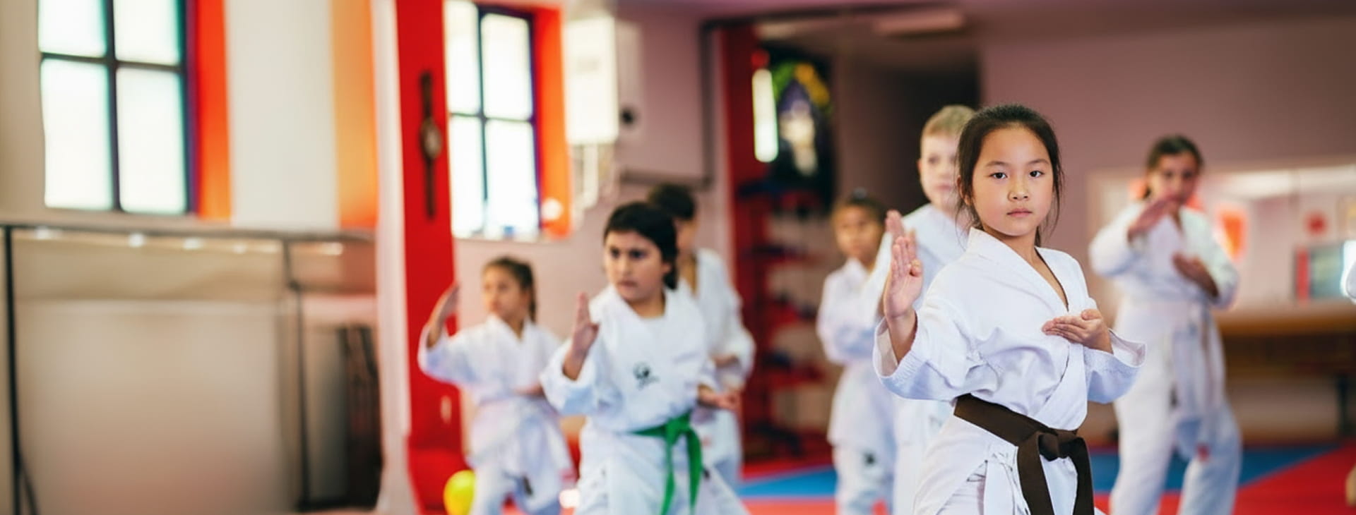 Martial Arts Schools