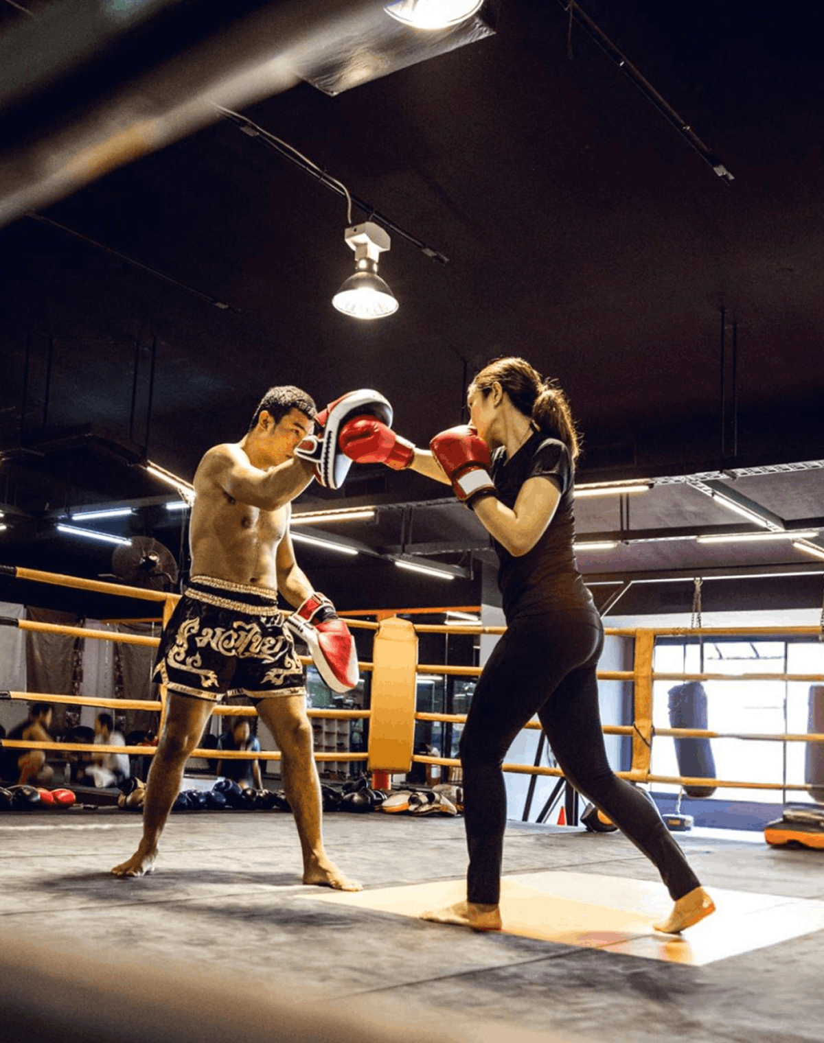 Boxing Gyms