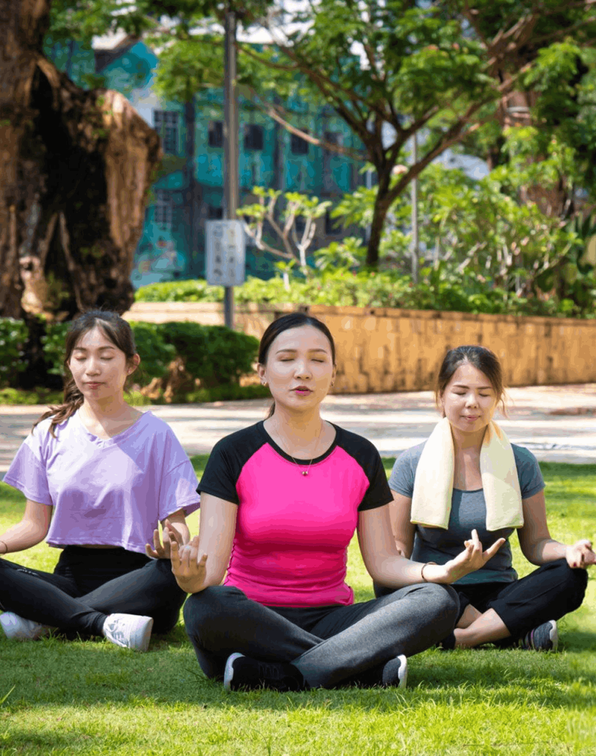 Wellness and Mindfulness Centres